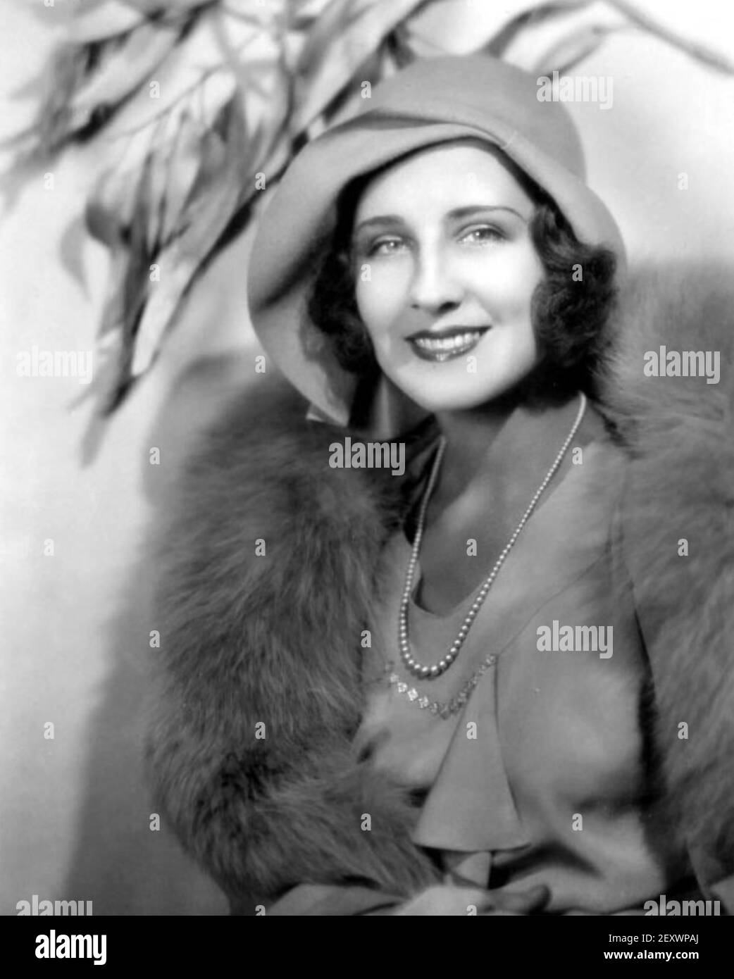 NORMA SHEARER (1902-1083  American film actress about 1925 Stock Photo
