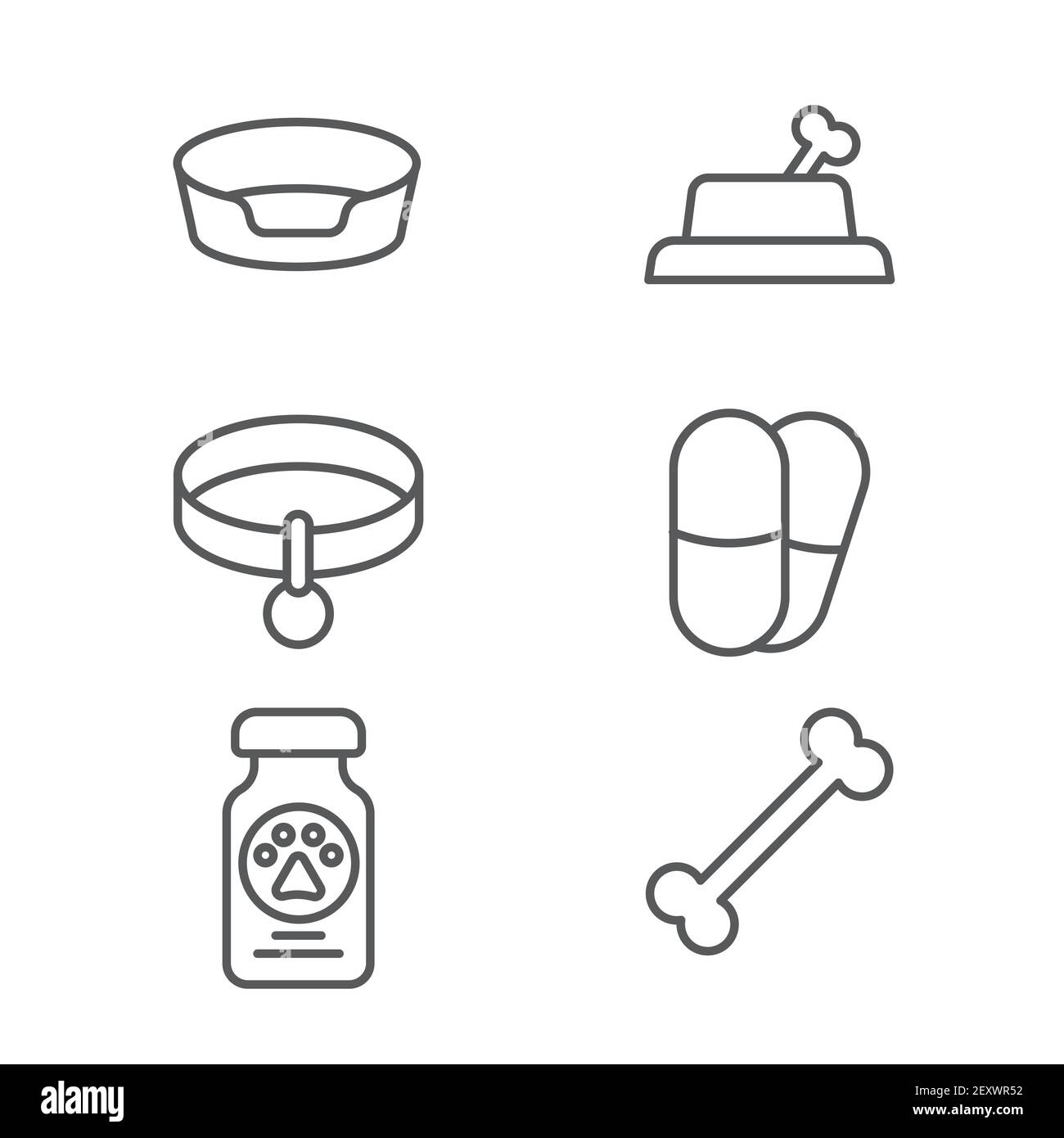 Dog and pills, Pet bed, Dog medicine bottle and pills and Collar with