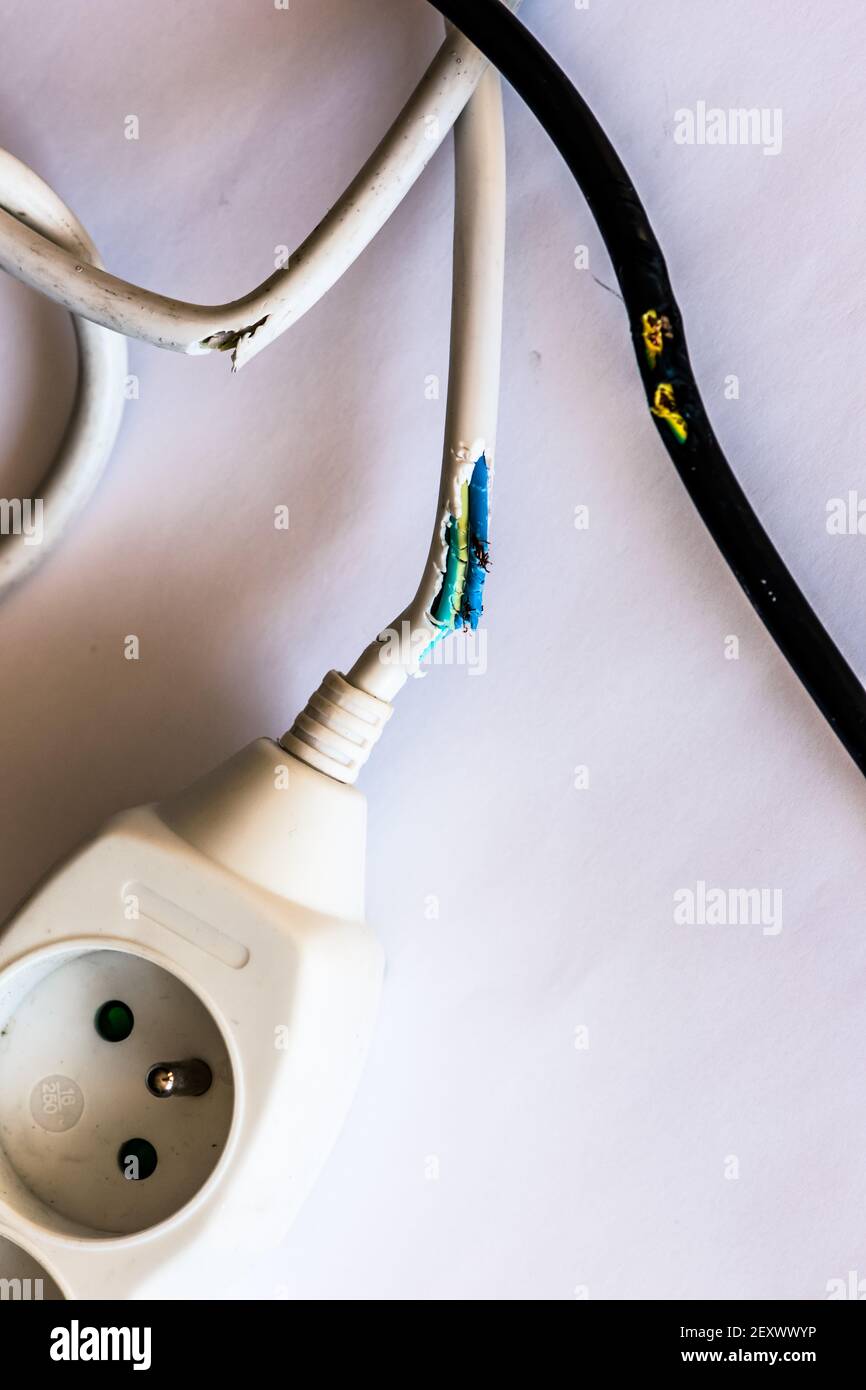 wire cable damaged by rabbit chewing Stock Photo Alamy