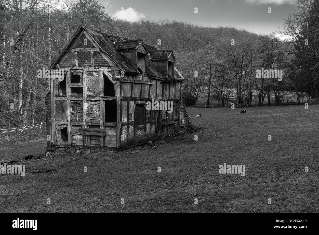 Derelict house seen from the Mordiford Loop walk, Herefordshire UK. February 2021 Stock Photo