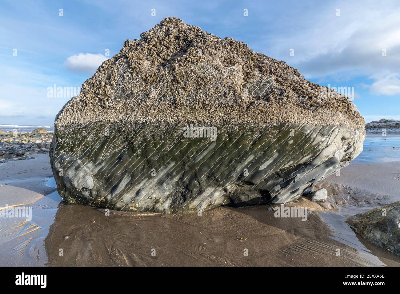 Abergele beach on the North Wales coast  large boulder showing sand movement hight marks and Acorn Barnacles due to tidal and weather conditions Stock Photo