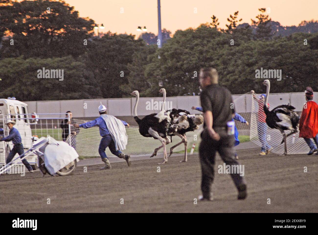East Rutherford, NJ - The Meadowlands Racing & Entertainment Center ...