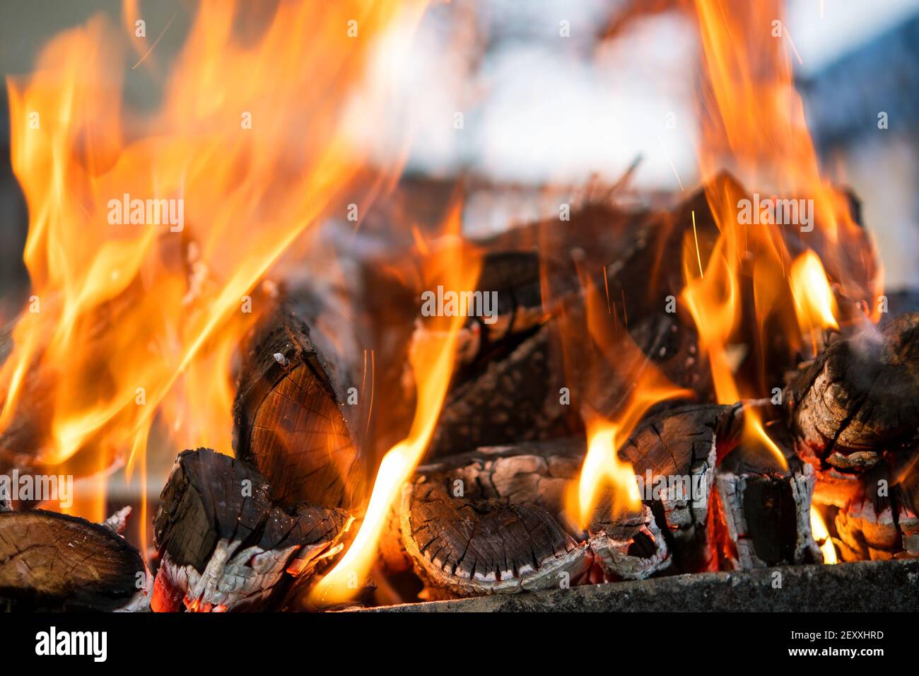 Warm wood logs burning brightly hi-res stock photography and images - Alamy