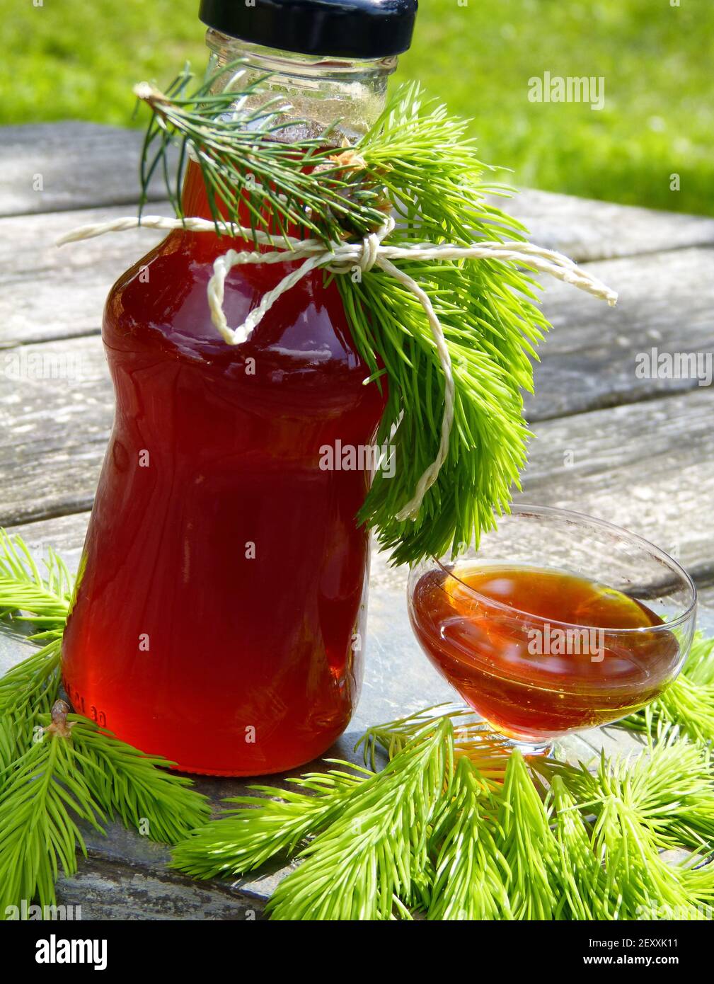 Spruce Needle Syrup For The Treatment Of Cough Stock Photo - Alamy