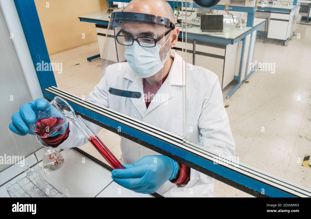 Male scientist in a biosafety cabinet with test tubes in a laboratory. Basque Country, Spain, Europe. Stock Photo