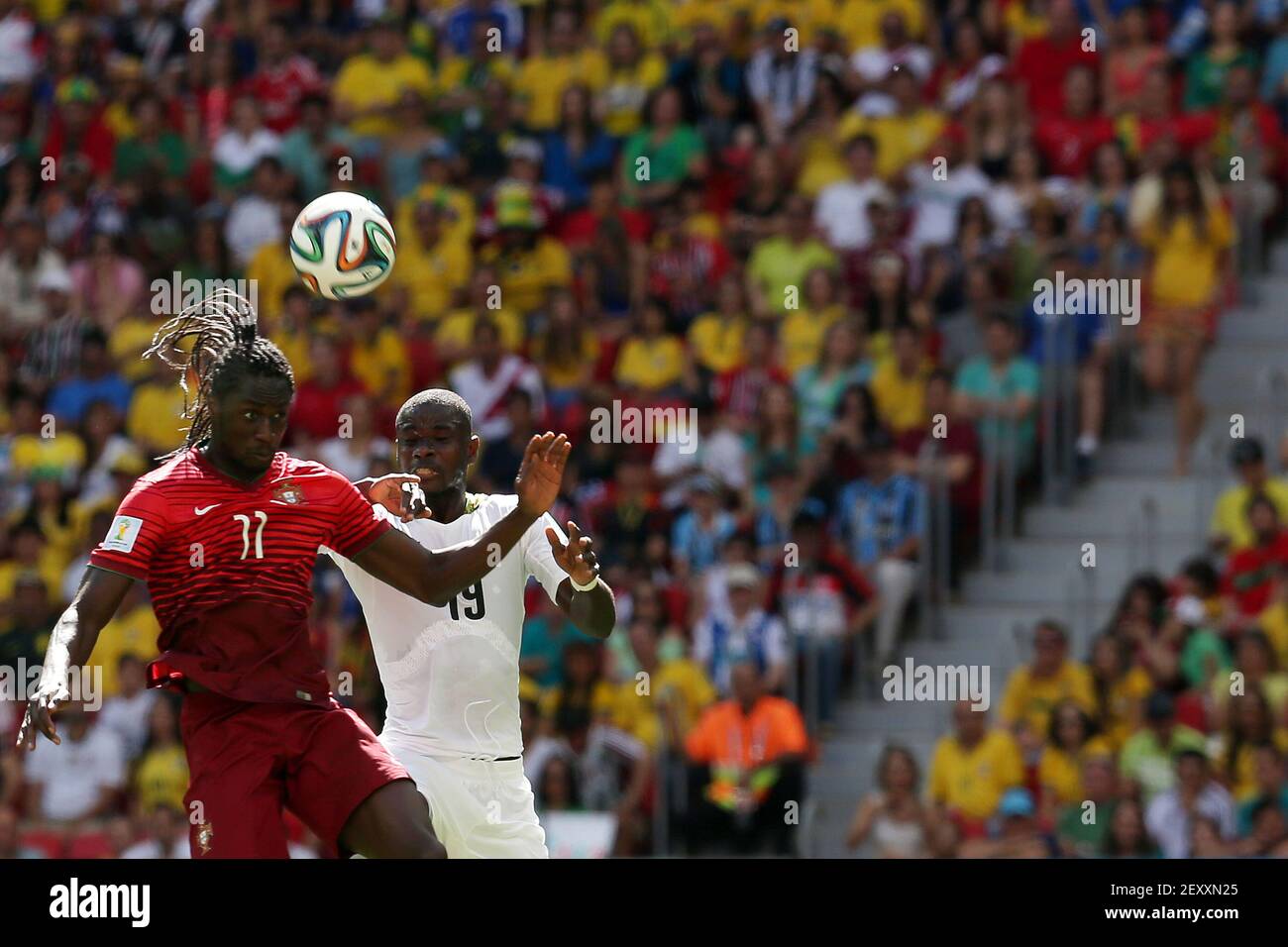 Sports heads football championship 2014 2025