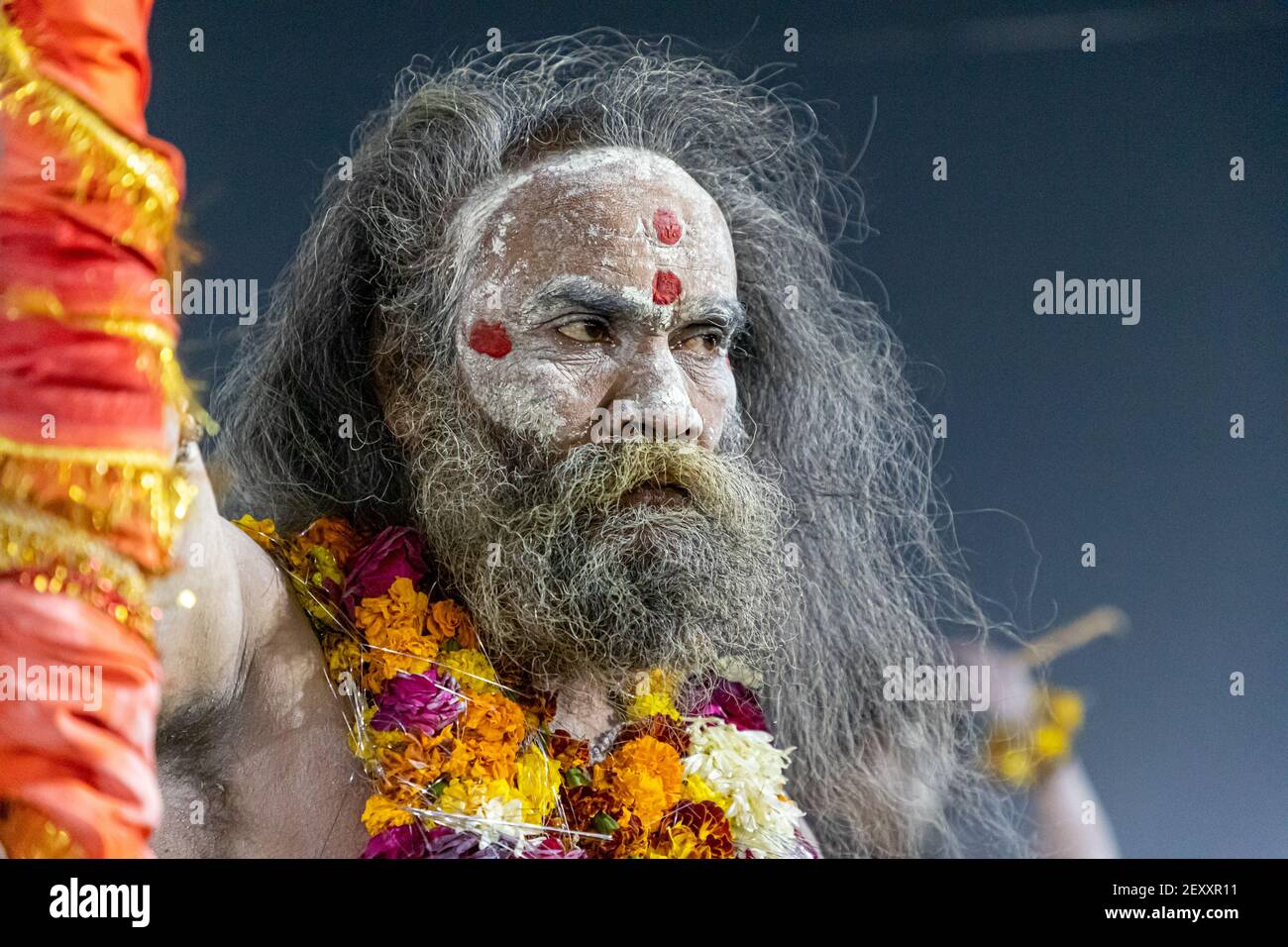an indian holly man or naga sadhu during the kumbh mela in haridawar.kumbh is the largest congregation on the earth. Stock Photo