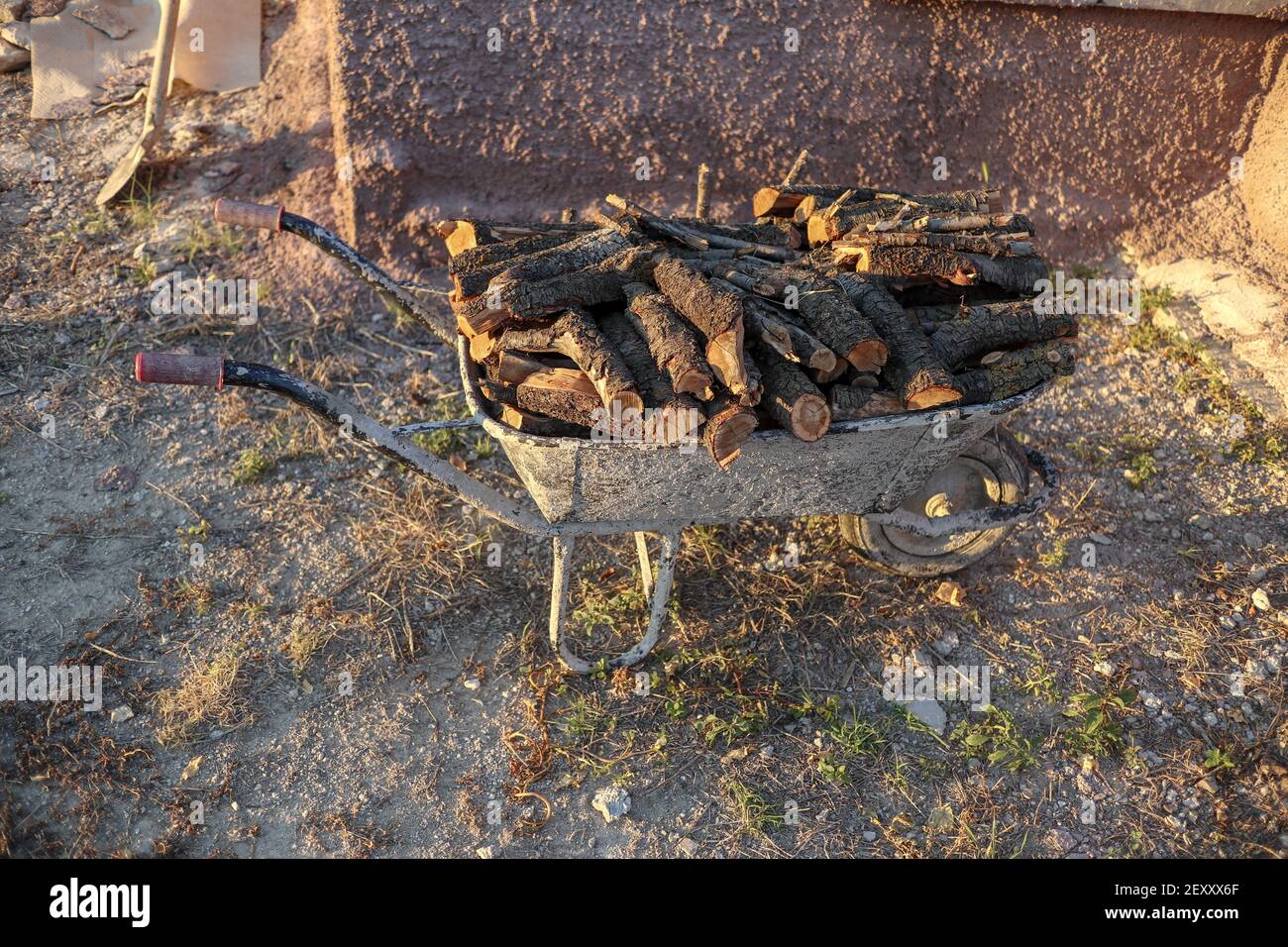 living in the countryside, wheelbarrow firewood Stock Photo - Alamy
