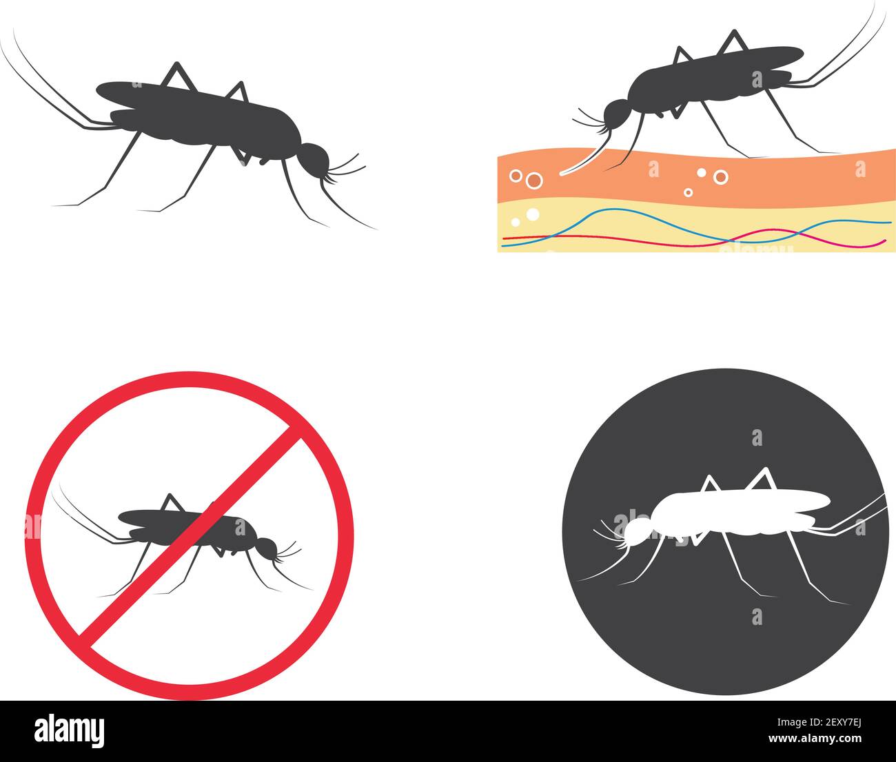 Mosquitoes flying Stock Vector Images - Alamy