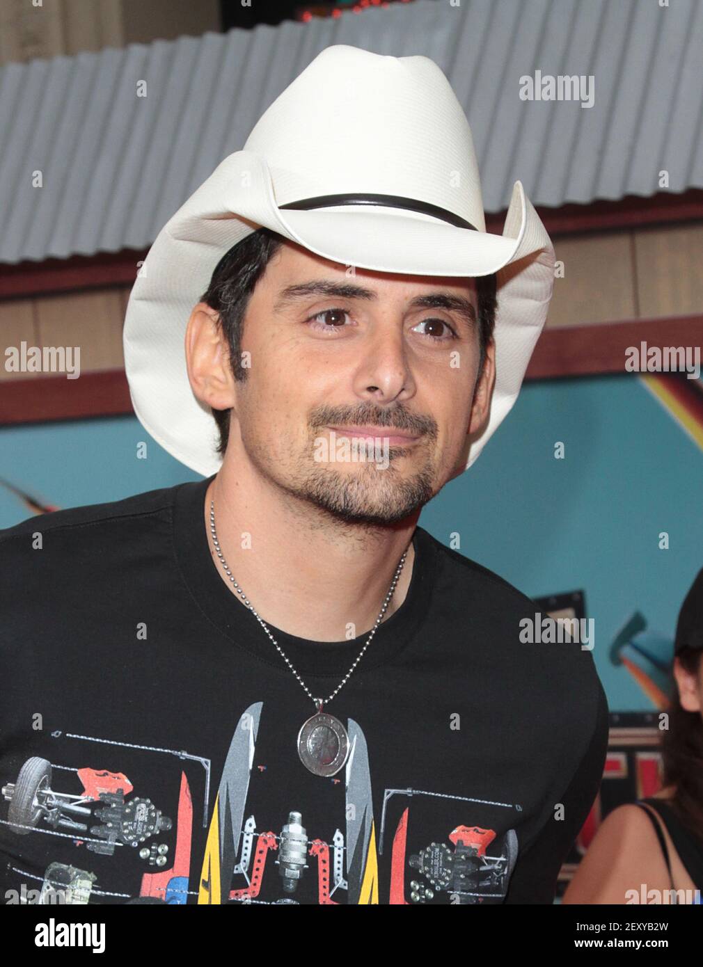 Brad Paisley attends The World Premiere of "Planes Fire and Rescue