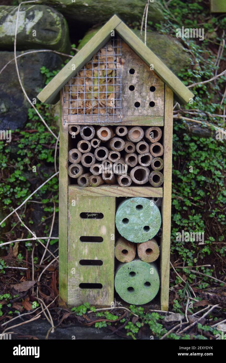 Insect Hotel Stock Photo