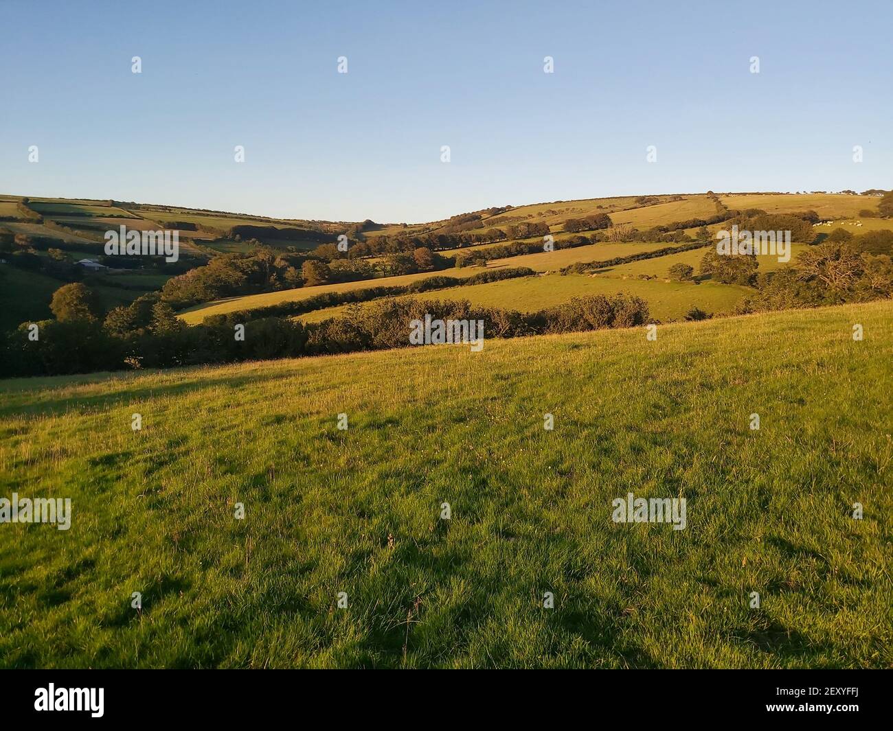 Views over Exmoor at sunset Stock Photo