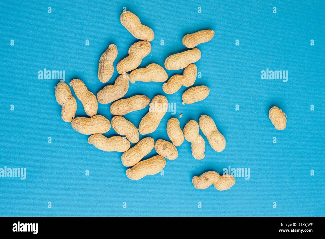 peanuts in shell blue background close-up top view Stock Photo - Alamy