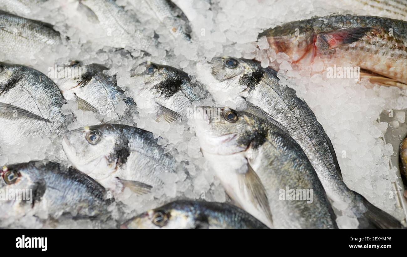 Frozen fish. Fresh fish on ice sale in market. sea food in supermarket . store background . Stock Photo