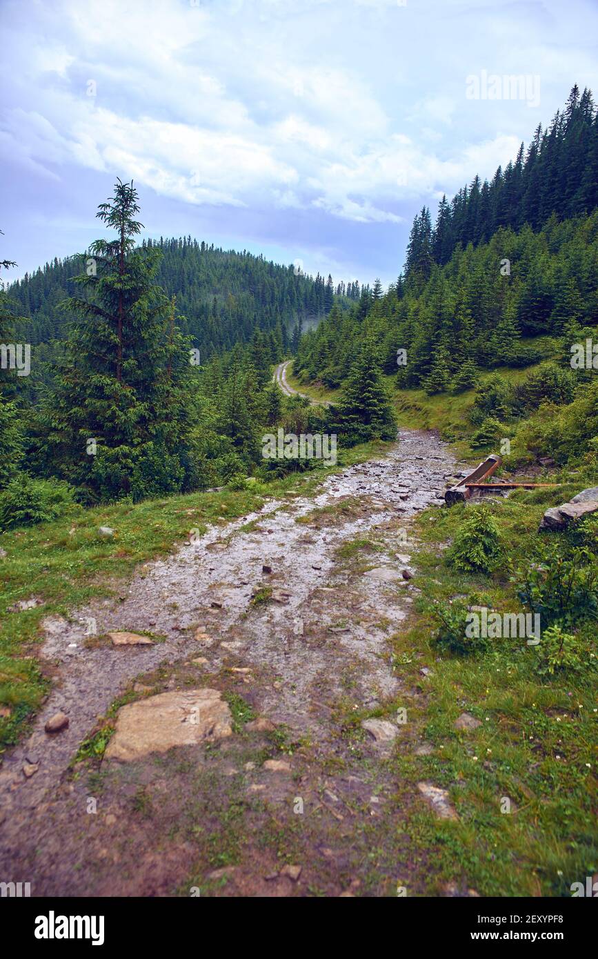 road in the Carpathian mountains Stock Photo