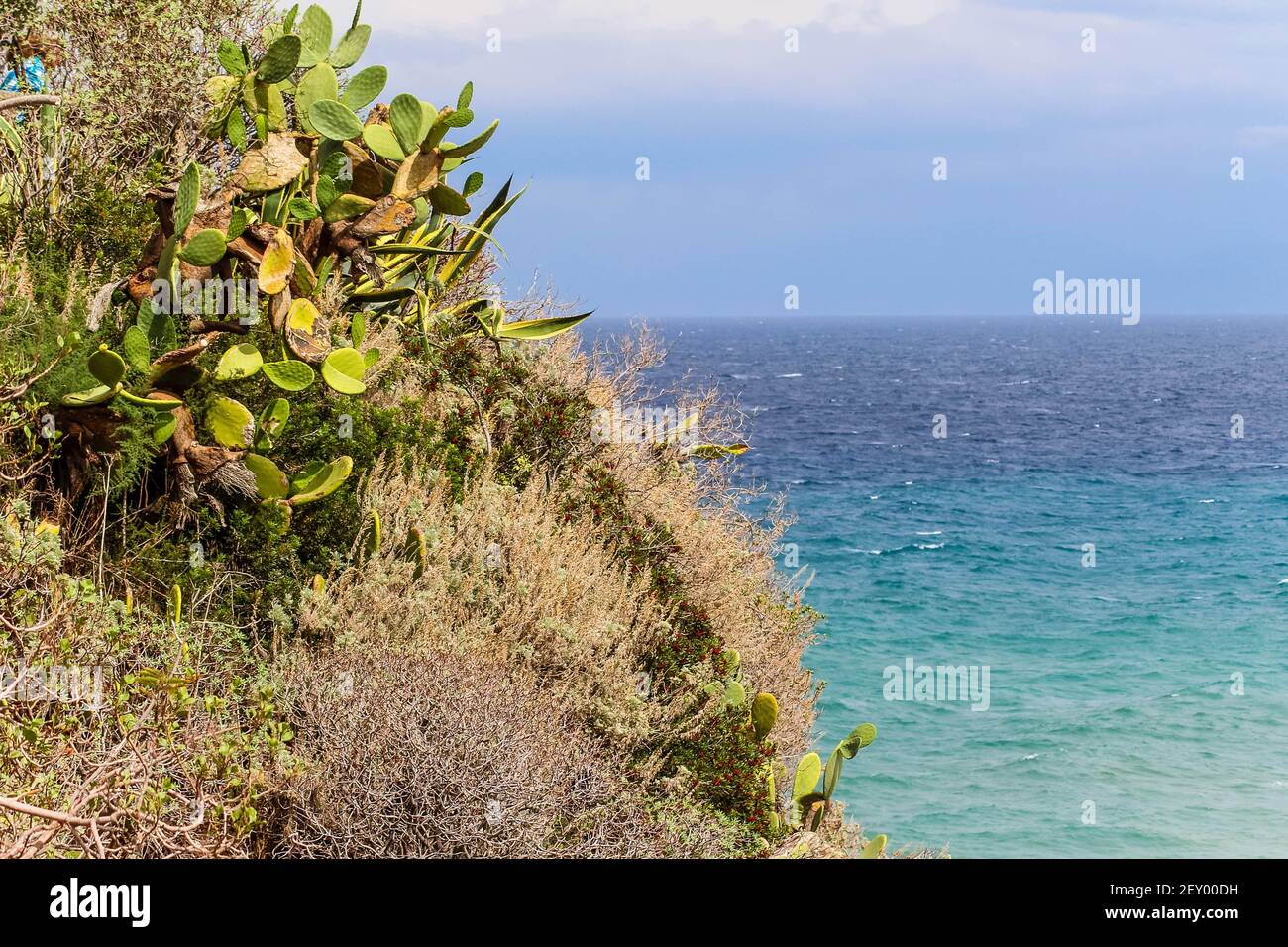flowers and grass on rocks above the medierranean sea Stock Photo