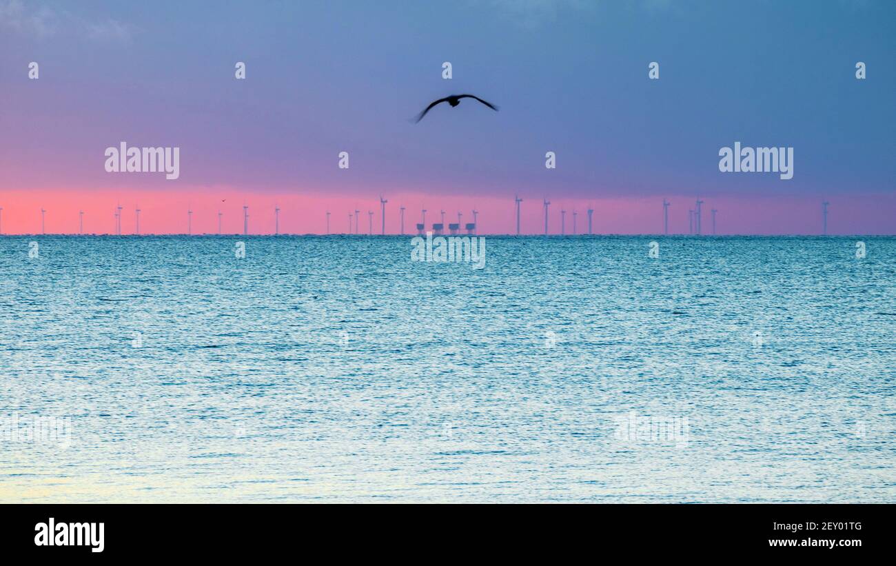 London array windfarm hi-res stock photography and images - Alamy