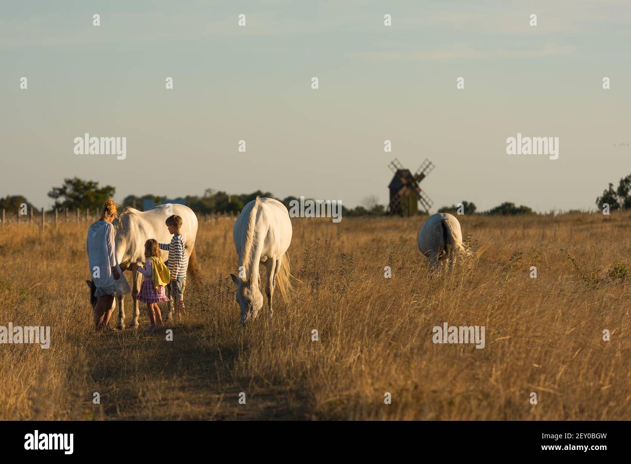 Kids and horses on Oeland Stock Photo