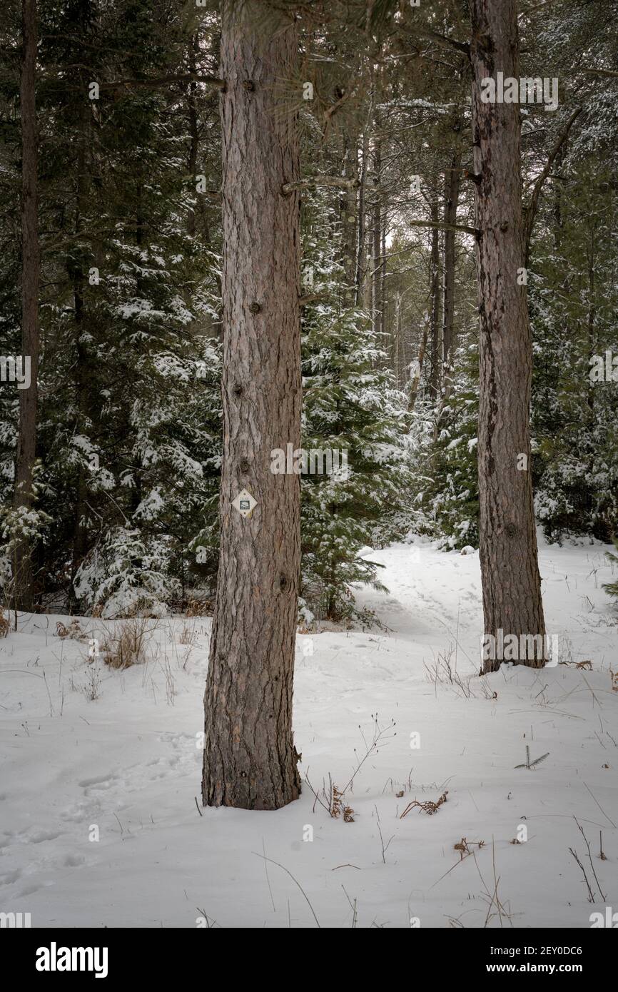 A hiking trail at the Sturgeon Bay shipping Canal preserve of the Door