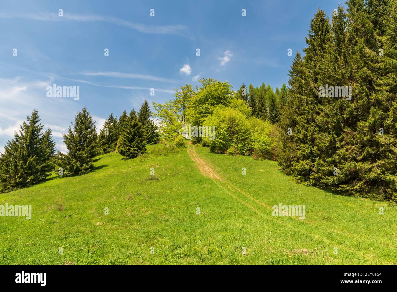 Prislop hi-res stock photography and images - Alamy