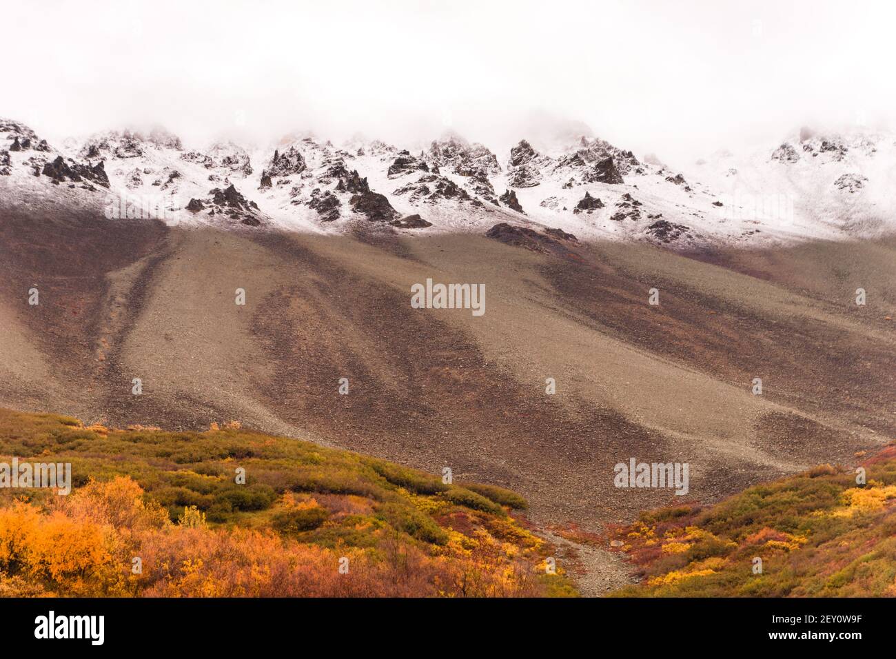 White out conditions occur above treeline Remote Alaska Stock Photo Alamy