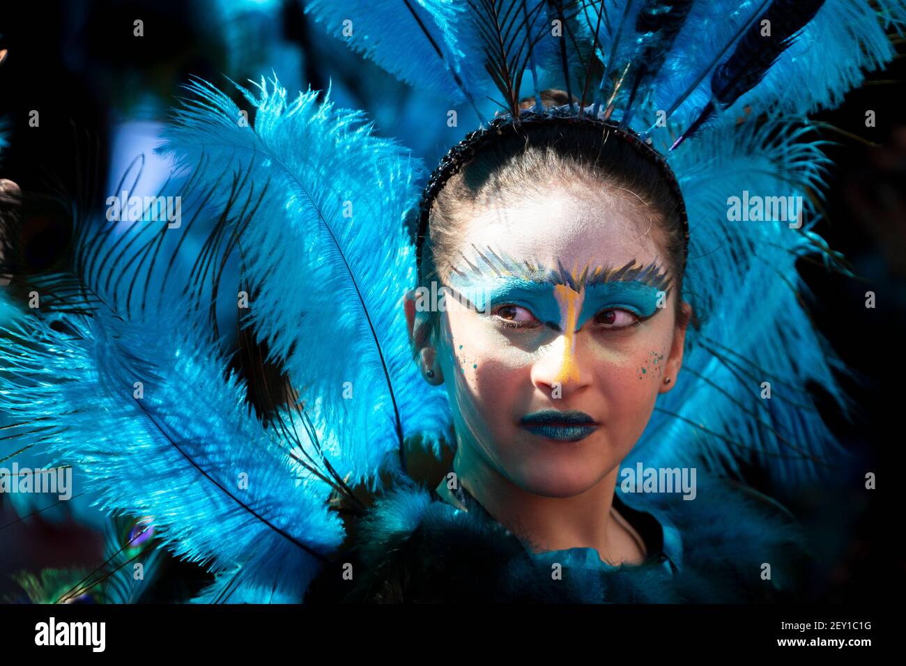 Peacock costume hi-res stock photography and images - Alamy
