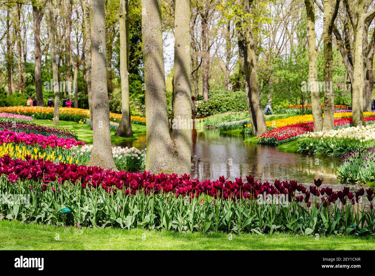 Blooming flowers in a Spring Formal Garden Stock Photo - Alamy