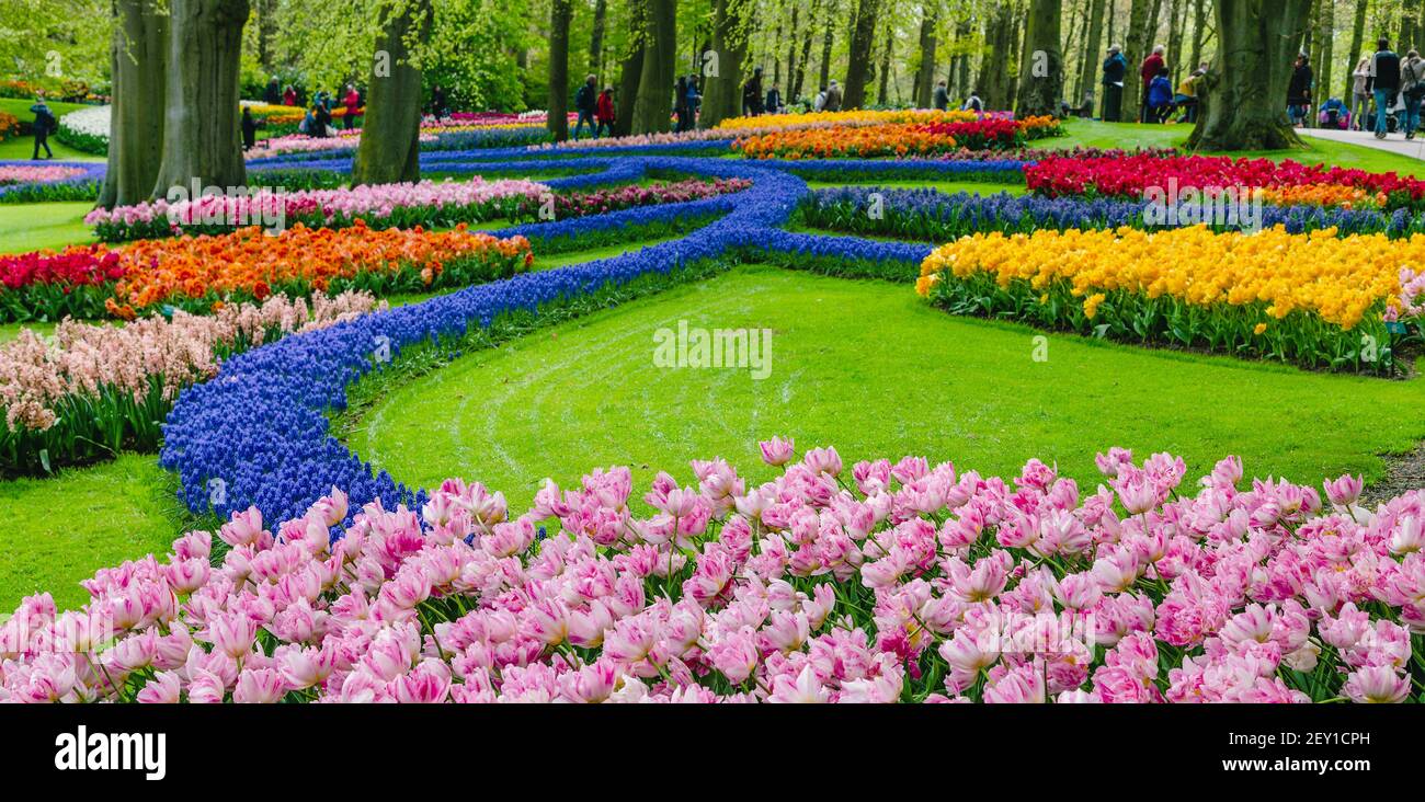 Blooming flowers in a Spring Formal Garden Stock Photo - Alamy
