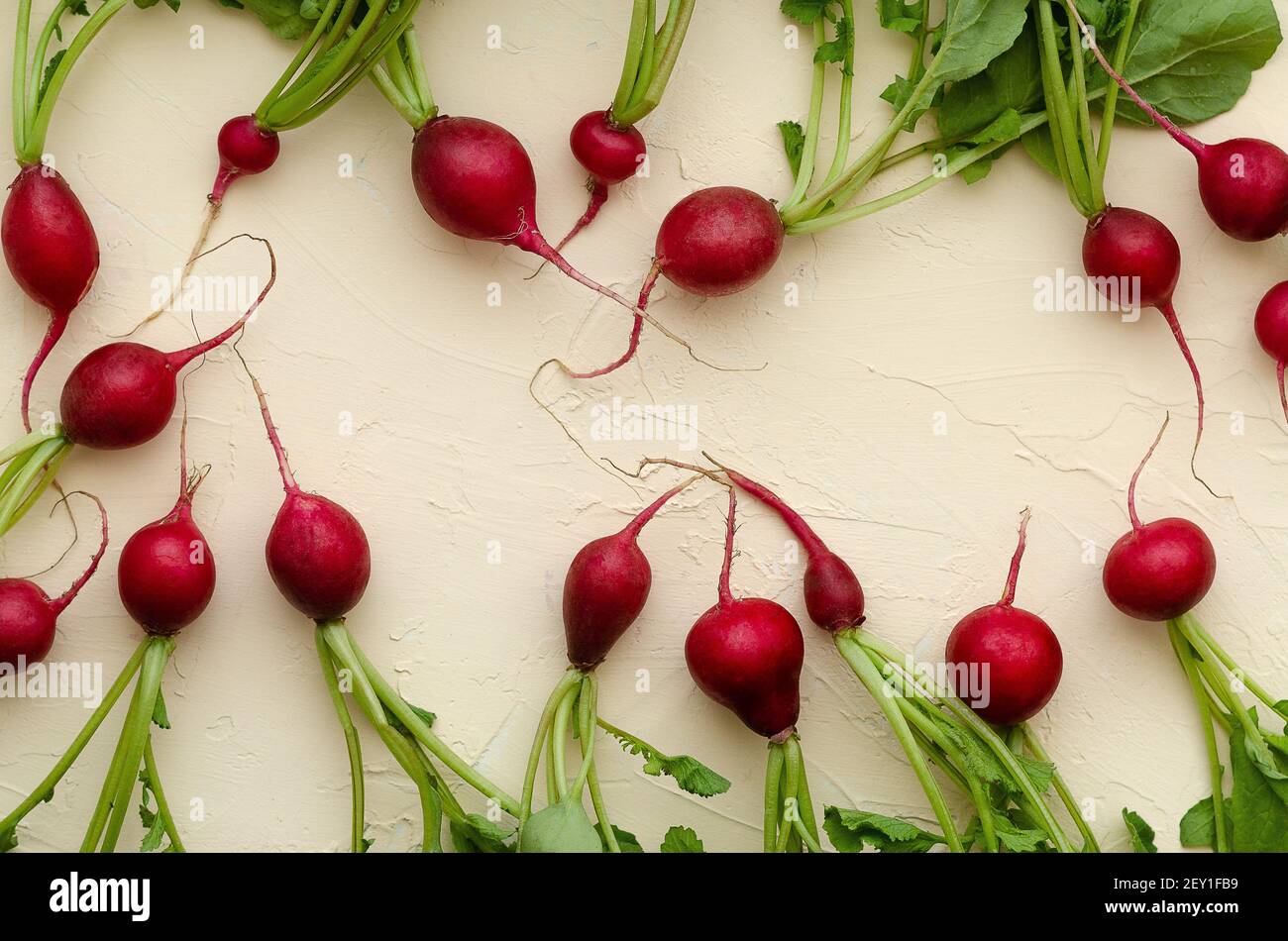 Radishes with leaves on light yellow backdrop Stock Photo Alamy