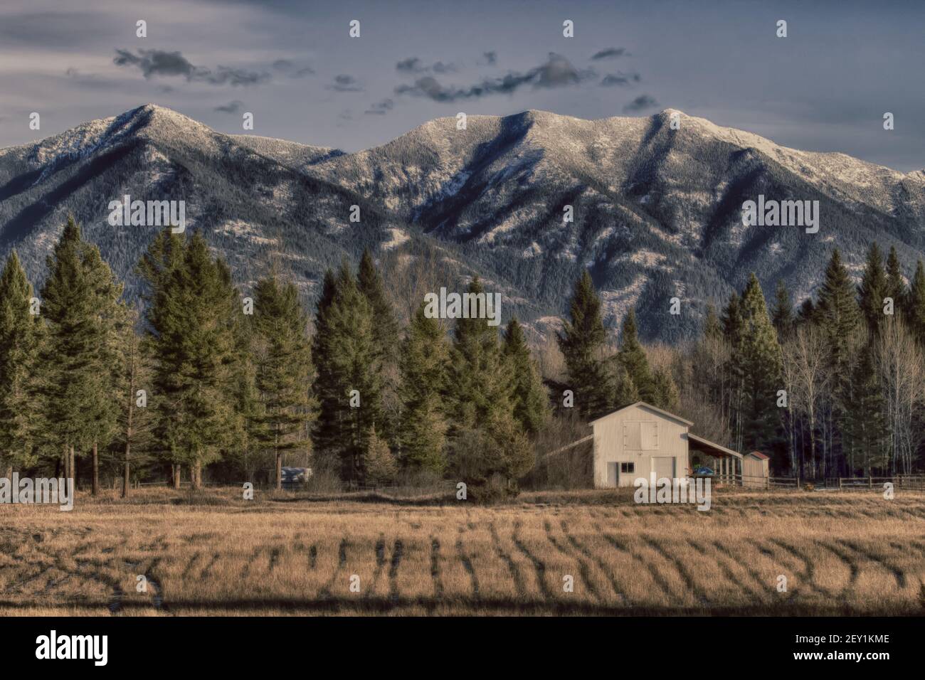 Great State of Montana Stock Photo Alamy