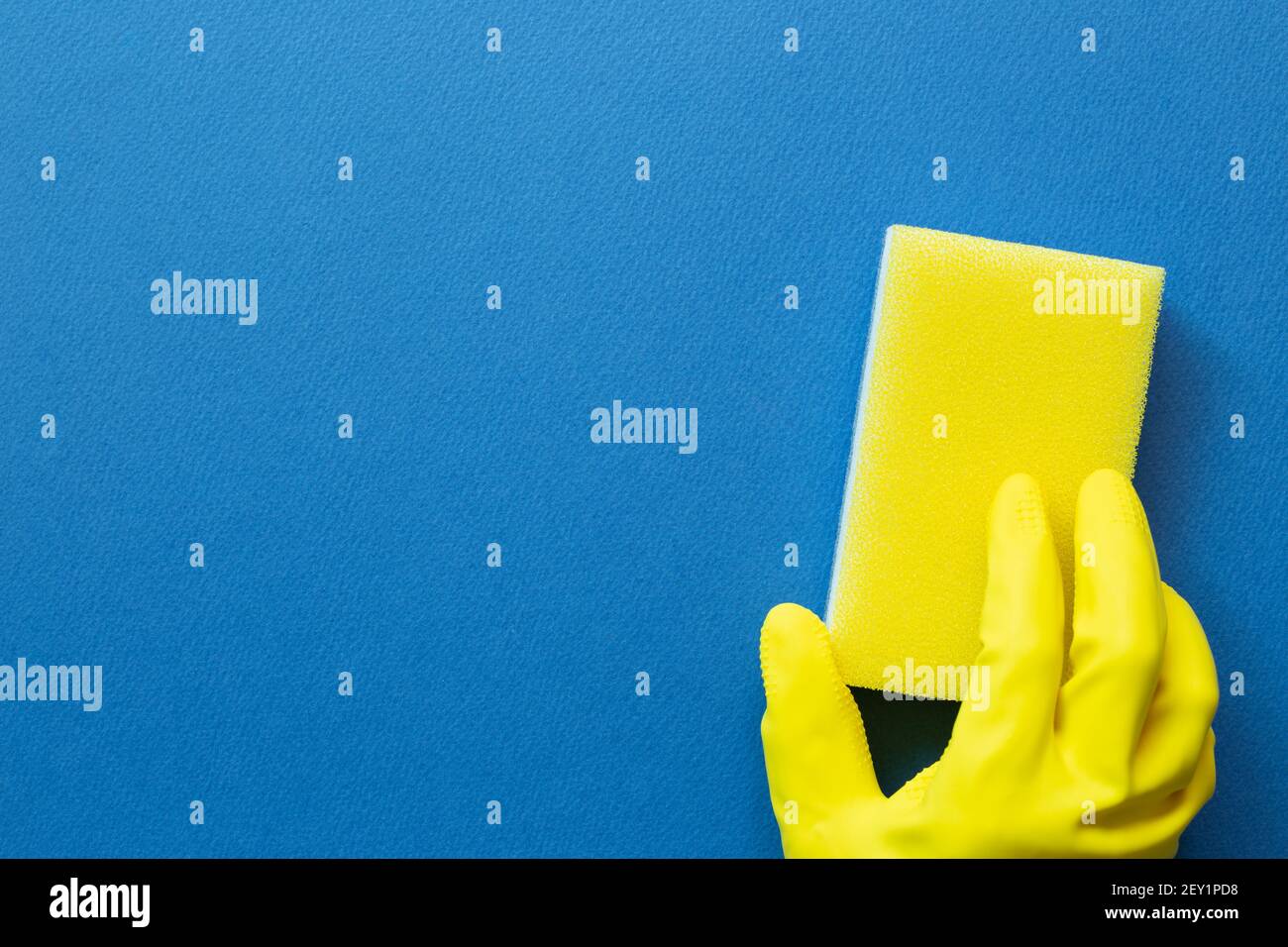 Hand in yellow glove hold sponge on blue background. Cleaning concept ...