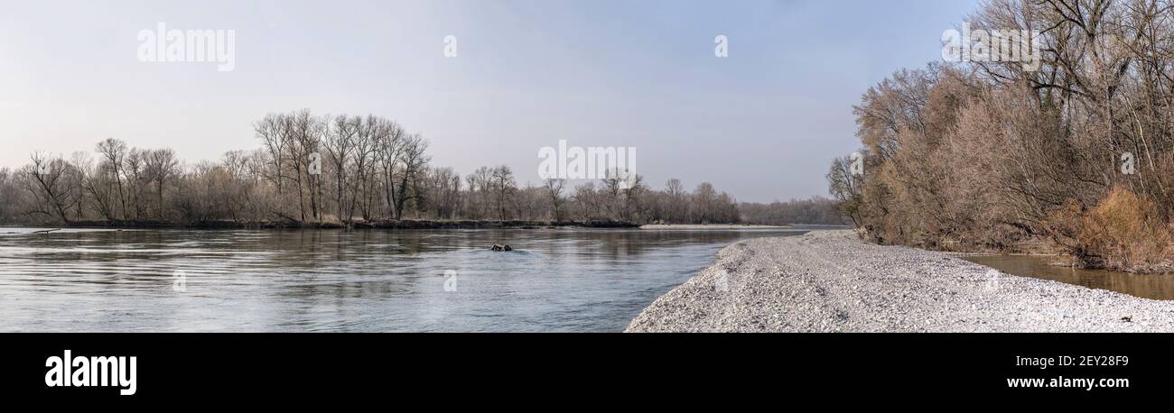 landscape with Ticino river bending amng white pebble shoals, shot on bright winter day at Bereguardo, Pavia, Lombardy, Italy Stock Photo