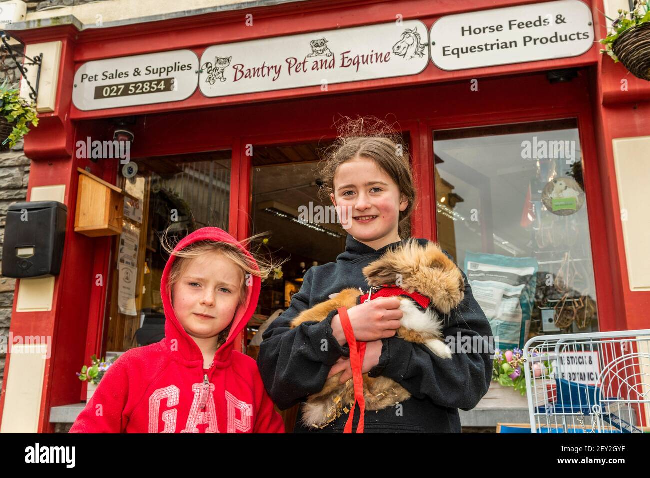 Bantry, West Cork, Ireland. 5th Mar, 2021. 'Snickers', a Lion Head/Angora cross rabbit, was enjoying the fresh air today with his owners, sisters Sarah and Abbie Batters. Credit: AG News/Alamy Live News Stock Photo