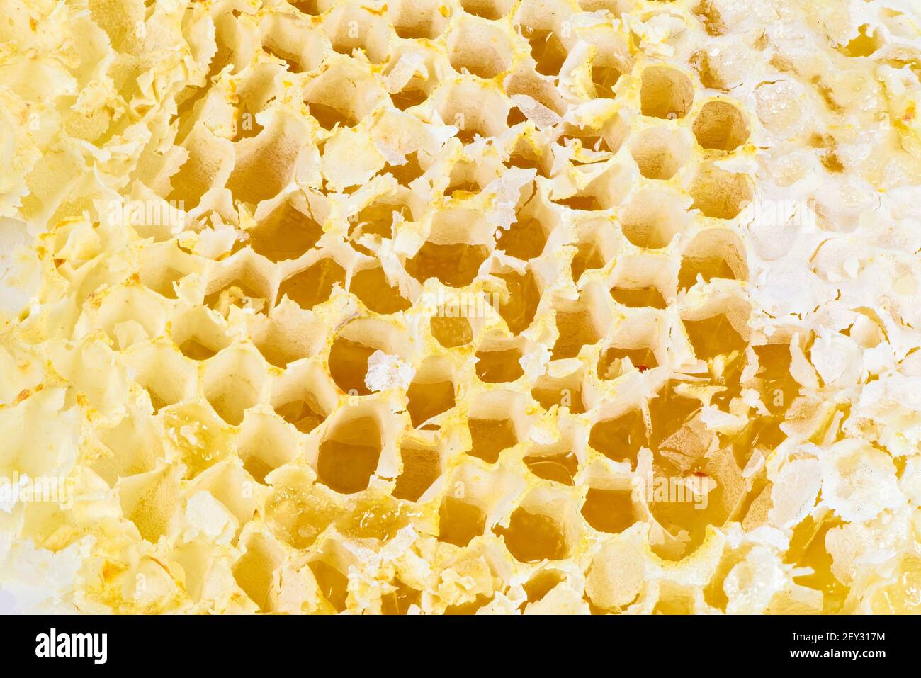 Closeup of honey filled honeycomb as culinary background Stock Photo