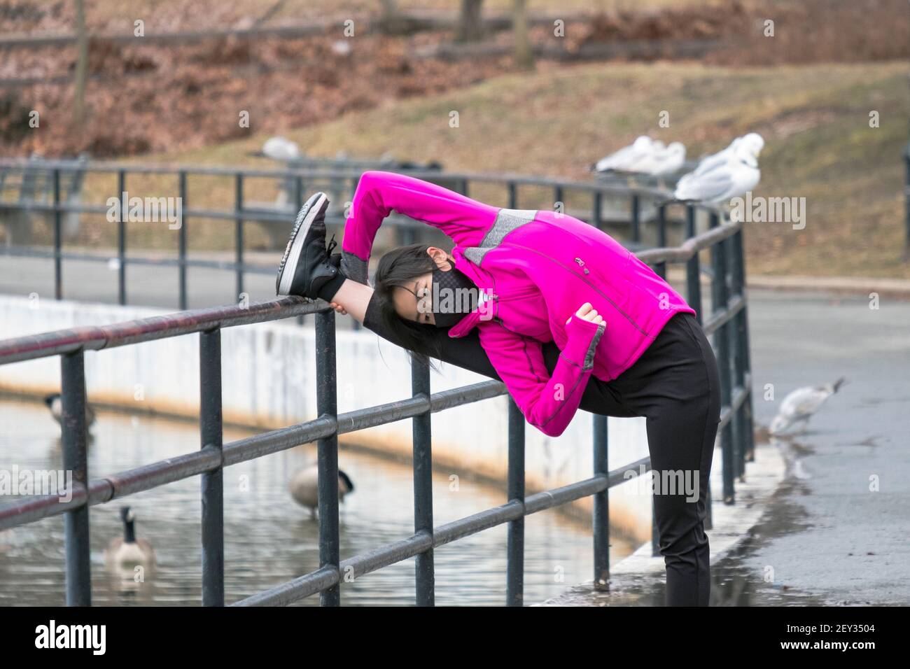 An extraordinarily flexible Asian American woman does some extreme stretching prior to exercising. I a park in Queens, New York City. Stock Photo
