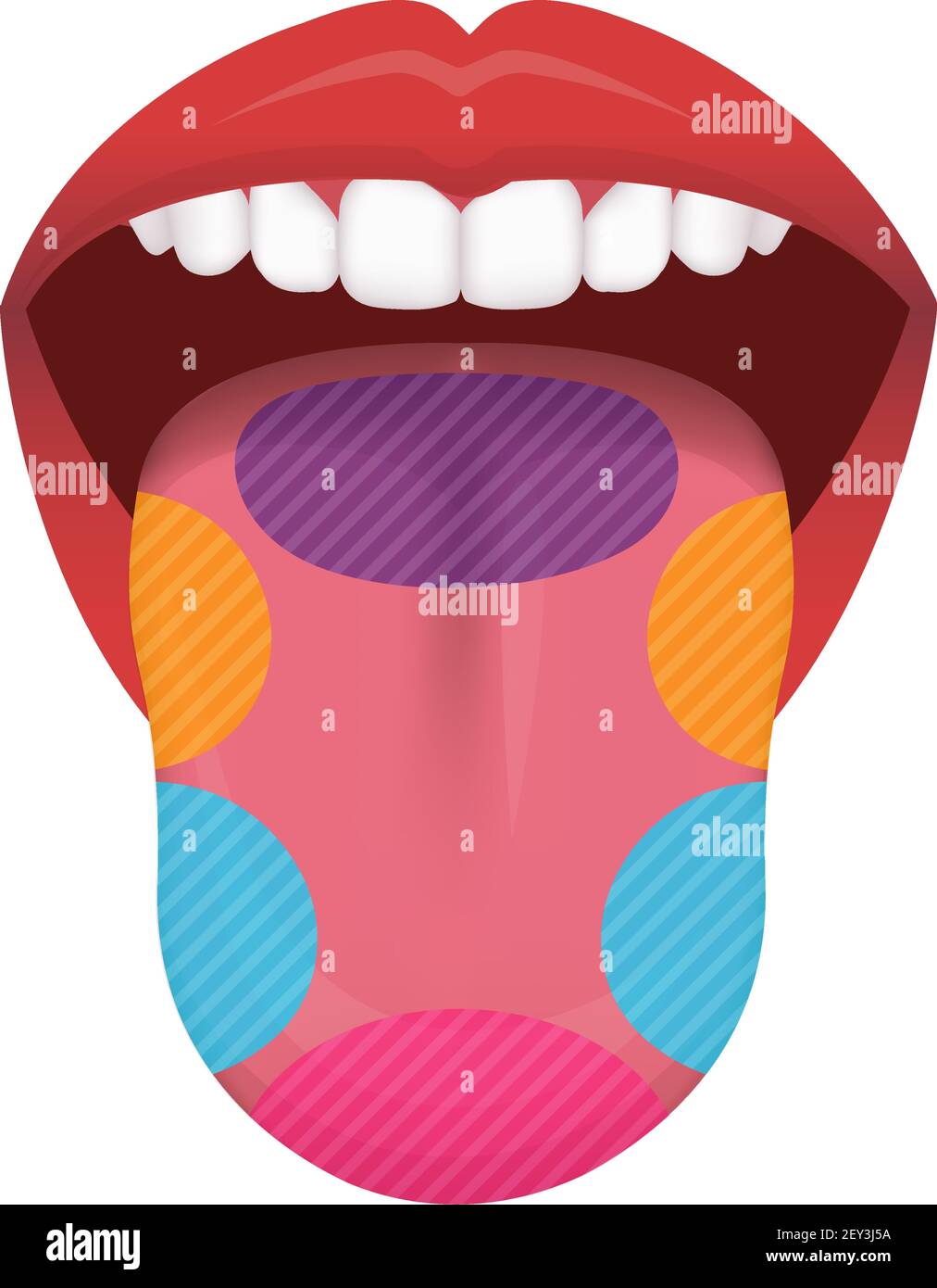 12+ Diagram Taste Buds