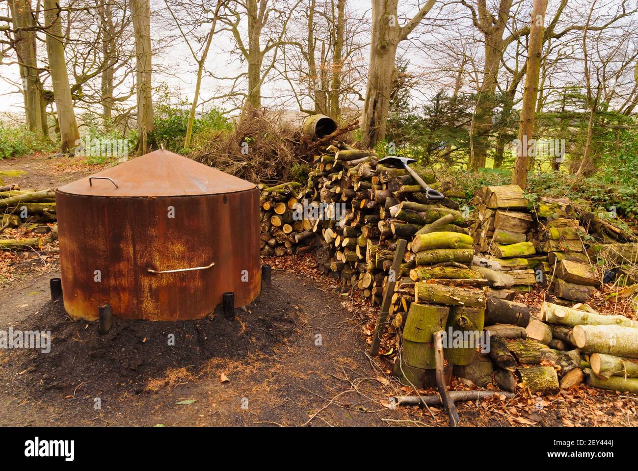 A traditional charcoal burner's oven or kiln and a pile of logs in a woodland clearing in North