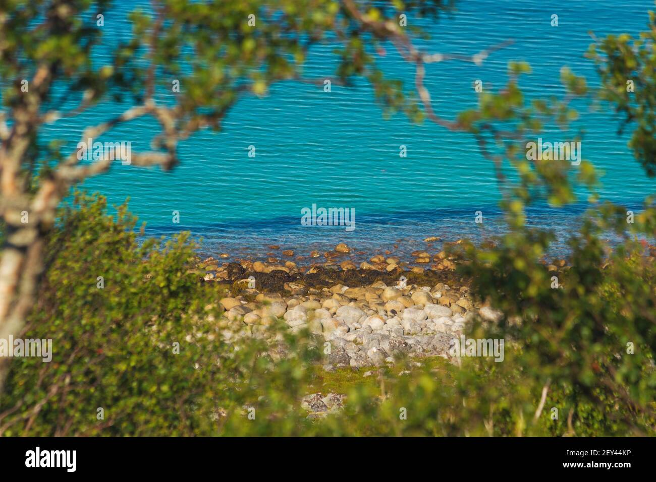 ocean and stone beach views through forest foliage Stock Photo