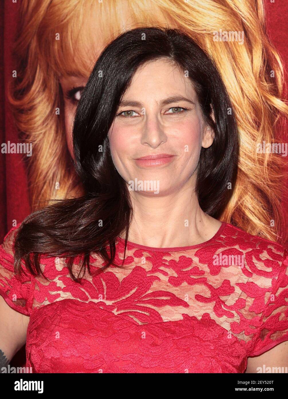 Laura Silverman attends The Los Angeles Premiere of "The Comeback" held
