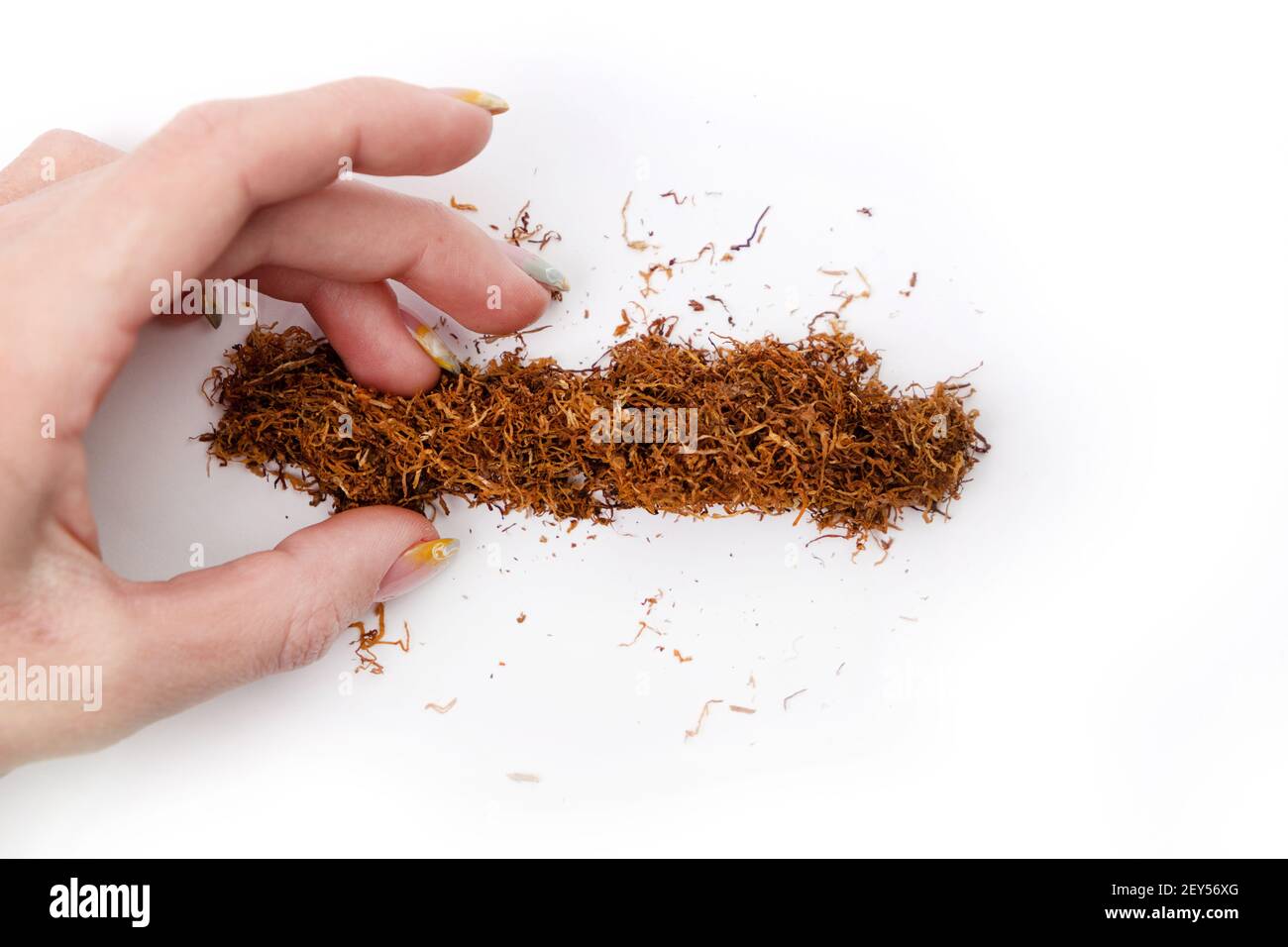 tobacco caye paradise belize Belizean Traveller — Tobacco Caye Paradise