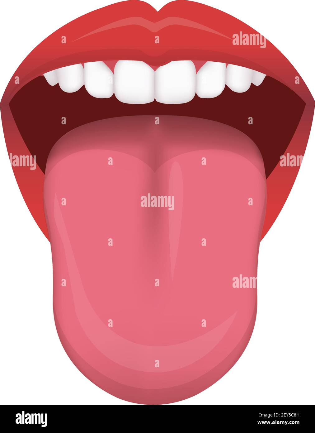 Healthy human tongue vector illustration Stock Vector