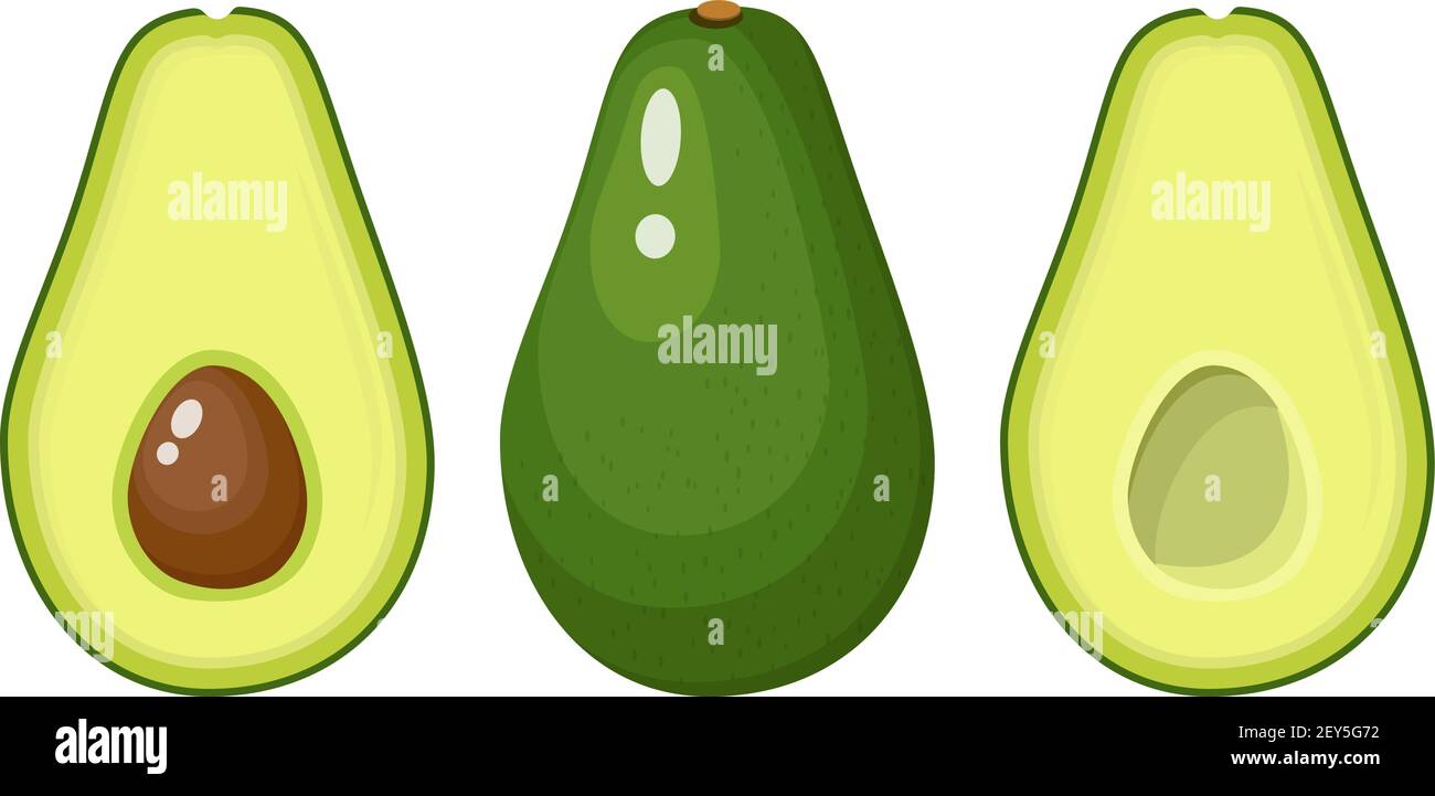 set of whole and sliced avocado fruit Stock Vector Image & Art - Alamy