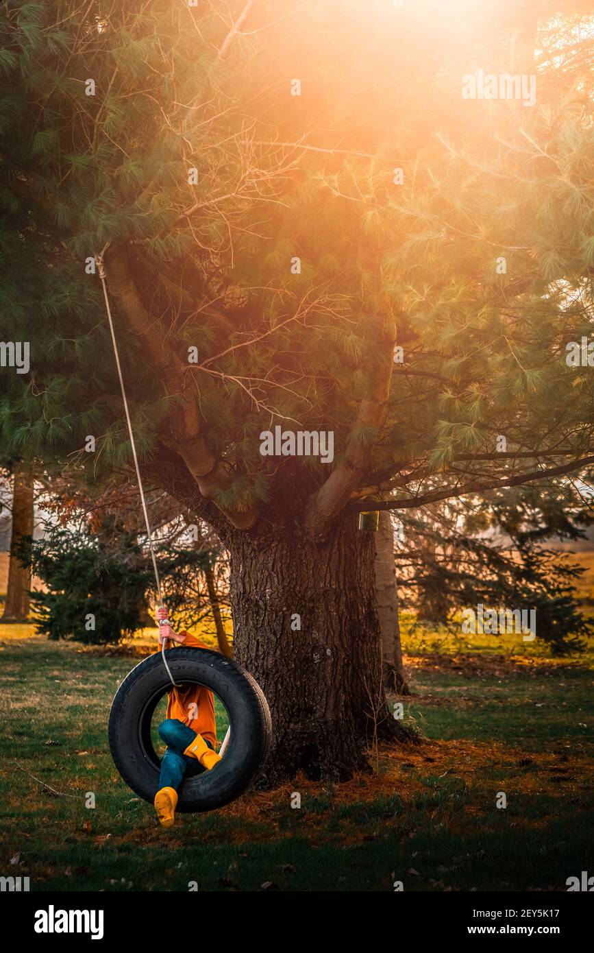 boy swinging in tire swing under the tree during sunset Stock Photo