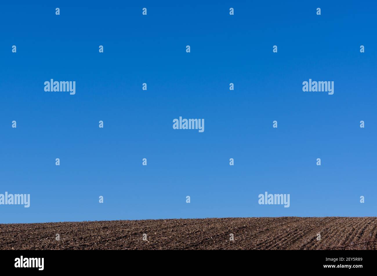 Clear blue winter skies over a the bare soil of a field. Kings Worthy