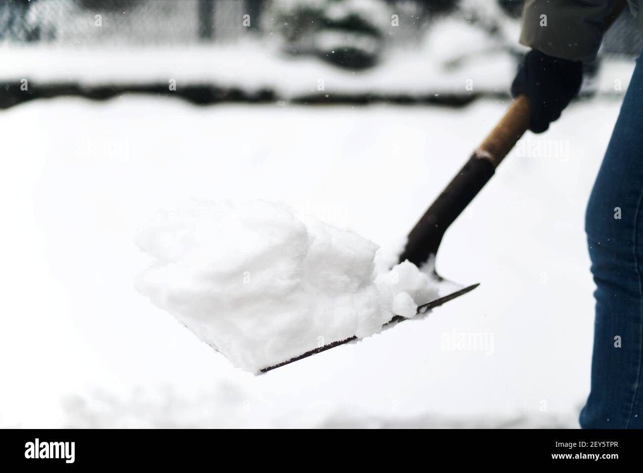 woman removes snow from his yard after a snowstorm, shoveling sn Stock Photo