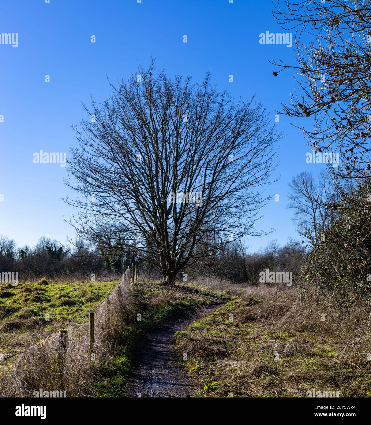 A path leads through the countryside near the Itchen Navigation ...