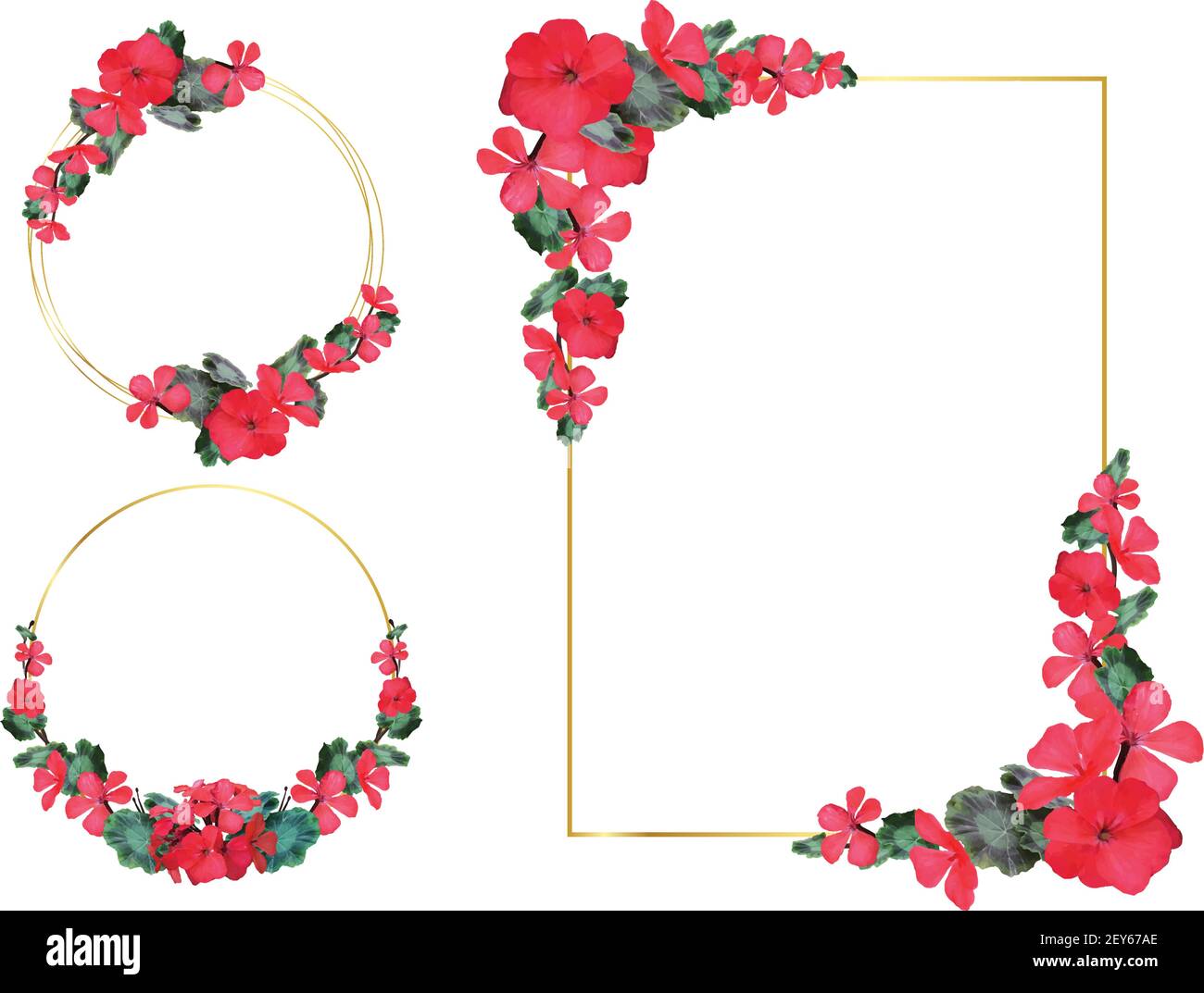 Floral geometric vector design frame. Red rose, camellia, ranunculus, eucalyptus and greenery bouquets. Spring wedding flowers. Gold line banner. All Stock Vector