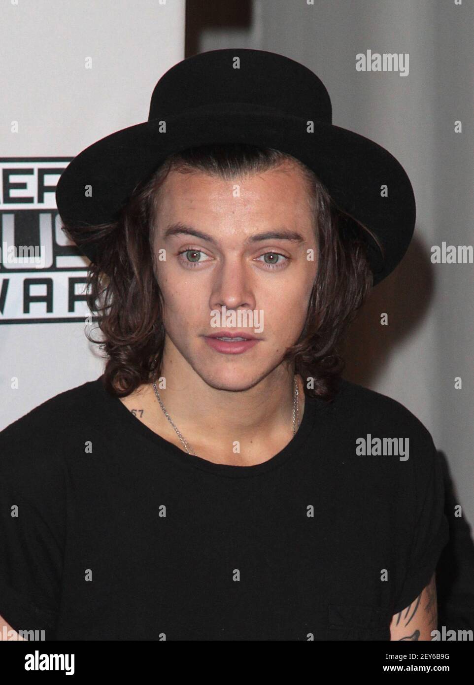 Harry Styles attends The 2014 American 