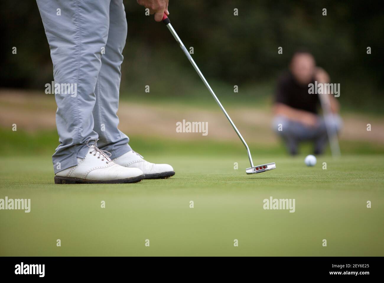 A golfer wearing white shoes putts on a putting green Stock Photo Alamy