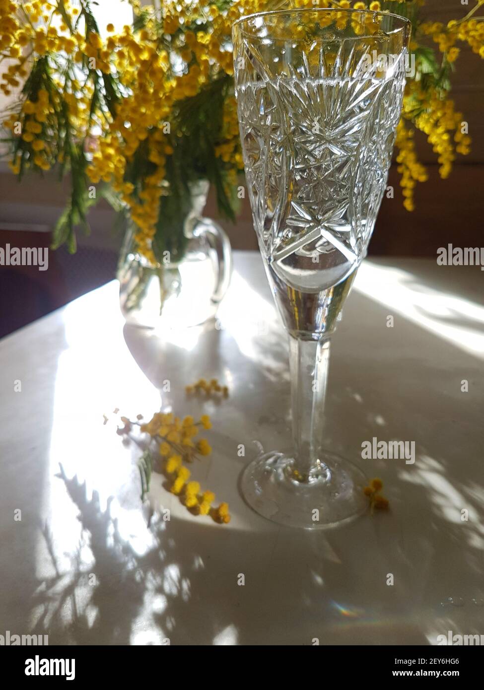 Mimosa bouquet with wine background Stock Photo - Alamy
